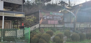심마니산약초