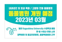 허그미동물병원