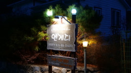 엔게디