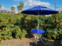 찬스귤체험농장