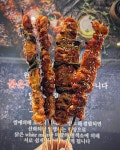 더꼬치다