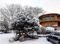 장흥흙집세상펜션