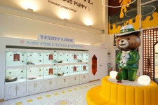 부산강아지분양 테디럽 명지본점