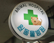 원동물병원