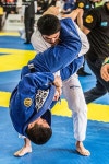 충효예무술관