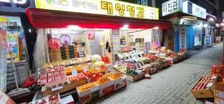 태양청과