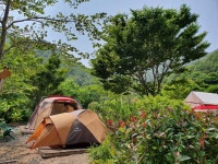 통영캠핑스토리