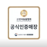 제주 강아지 위드미
