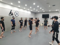 링 종합격투기 강서