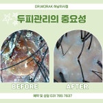 닥터모락 하남미사점