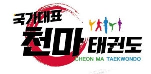 국가대표천마태권도장