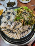 최고마차