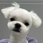 포에버위드유 살롱