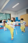 용인대 신흥태권도장