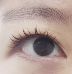 지유래쉬(jiyulash) | 지유래쉬