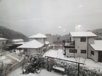 별하우스 민박
