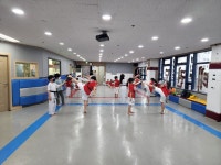 LTA백호태권도