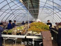 토닥토닥들꽃마을치유농장