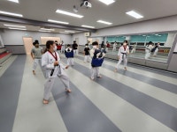 용인대백호태권도