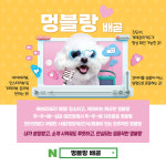 멍블랑 강아지분양 시흥배곧점
