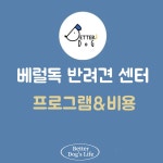 베럴독 강아지 훈련소,애견호텔 유치원
