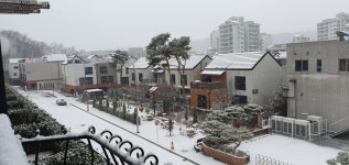 동분당파티오부동산중개