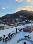 숲속의 아침