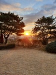 담양495