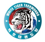 송일백호태권도