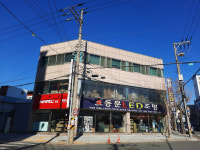 동문전기