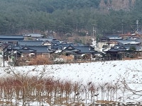 디와이ㄱ정자가있는우리한옥민박 | 정자가있는우리한옥펜션