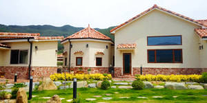 남향트리하우스