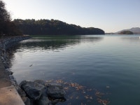 아리아사천풀빌라