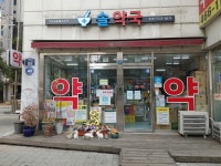솔약국
