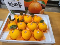 아빠는 농부다 승환이네 농장