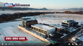 바잘트38.1