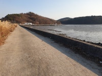 아리아사천풀빌라