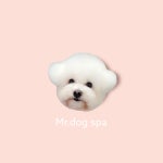 미스터독 스파