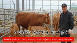 문일한우촌 오크벨리점