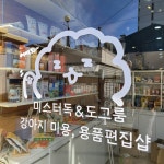 미스터독 스파