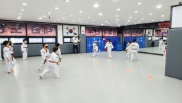 용인대코리아금메달태권도장