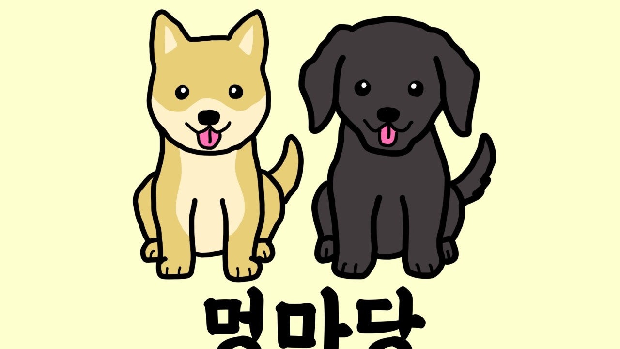 멍마당