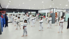 용인대코리아금메달태권도장