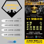 스카이휘트니스