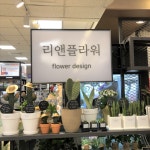 리앤플라워 수원역AK프라자점