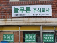 늘푸른