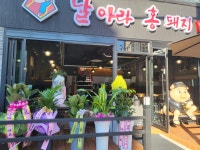 날아라홍돼지