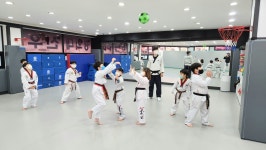 용인대코리아금메달태권도장