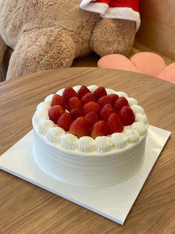 모티 사진