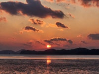 볼 때리는 집